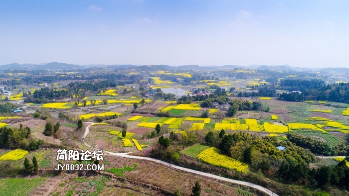 简阳市平武镇举行第二届桃花节开幕式