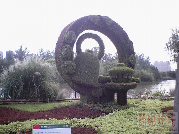 004.jpg