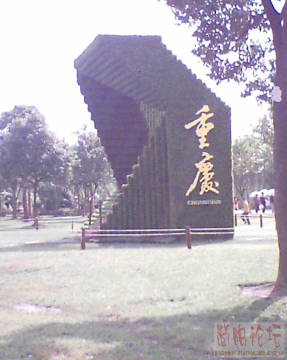 005.jpg