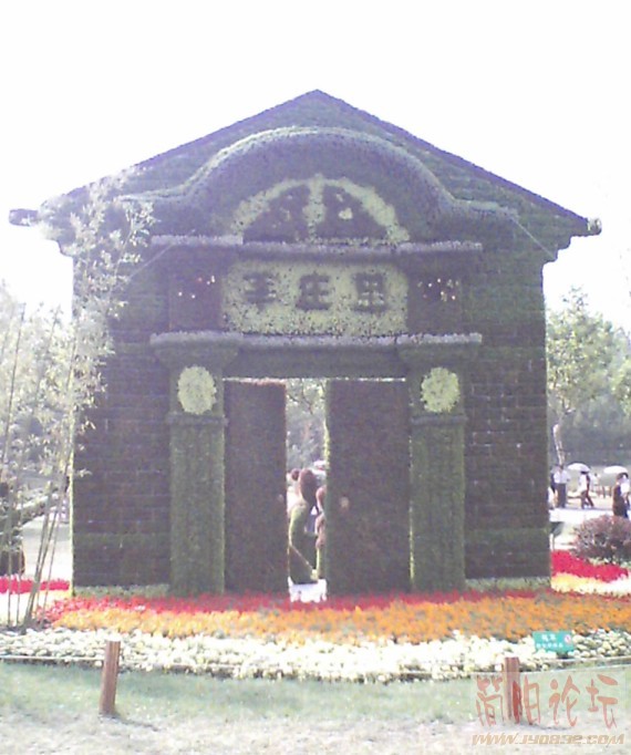 006.jpg