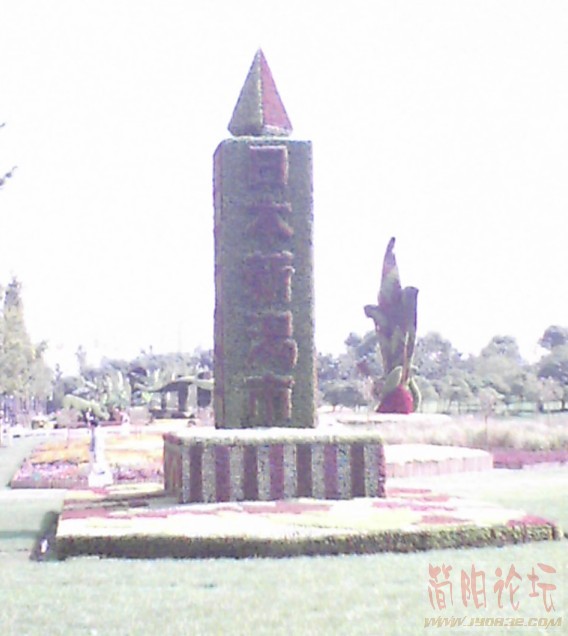 009.jpg