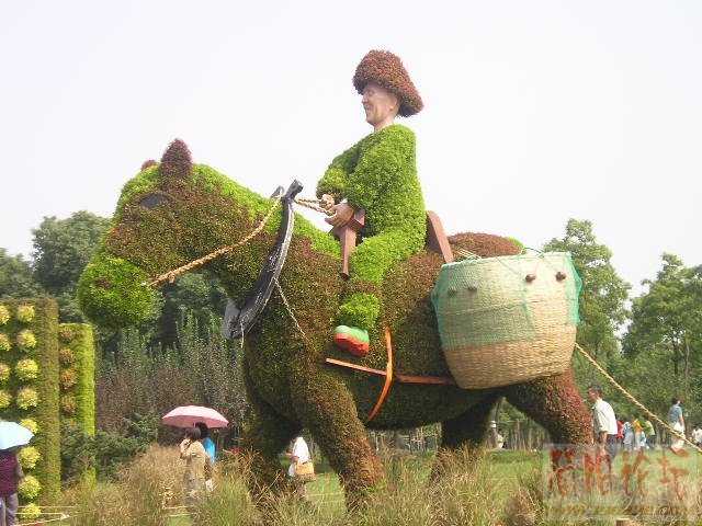 01.jpg