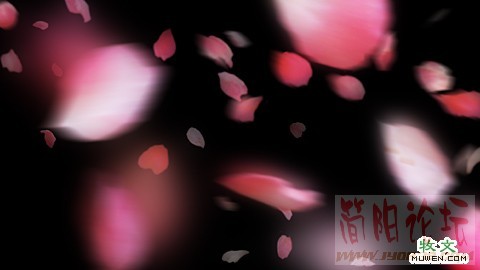 07224536700.jpg