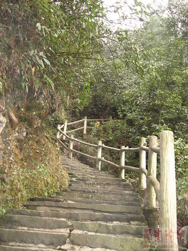 又是梯梯.jpg
