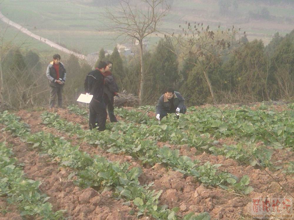 刑大的同志寻找作案证据.jpg