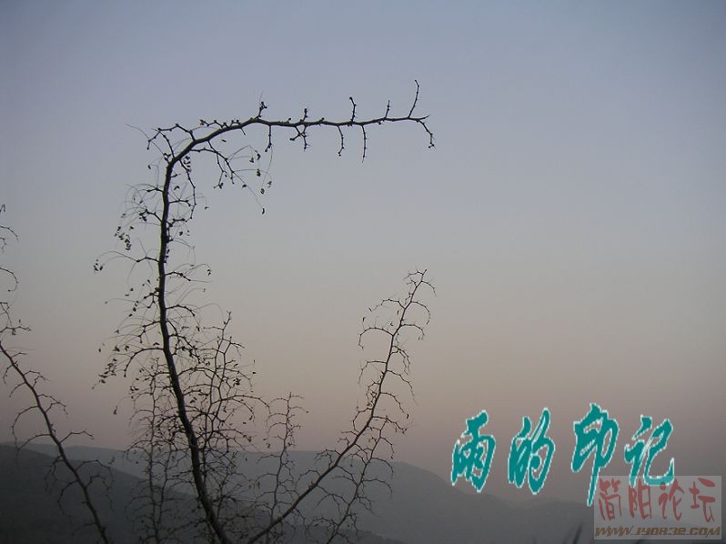 一直都在的.jpg