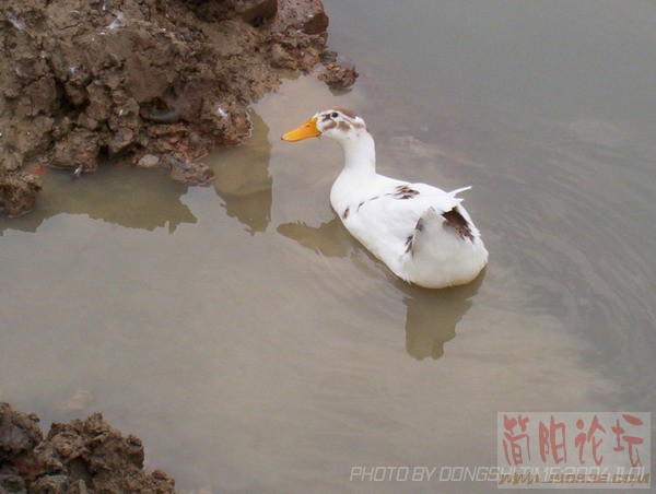 100_7227.jpg