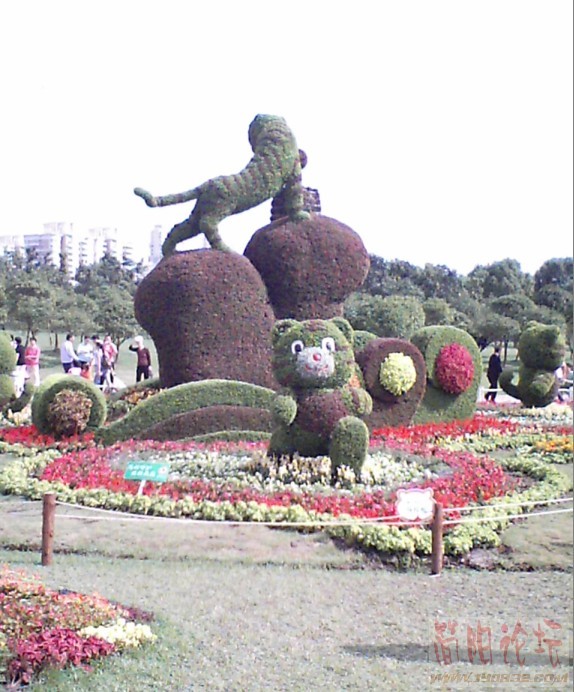 100.jpg