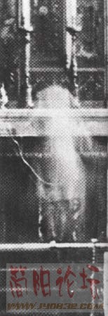 1082807.jpg