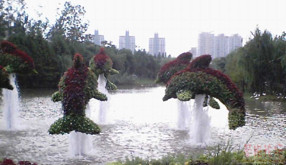 110.jpg