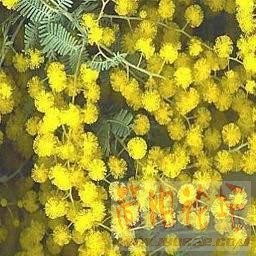 1332849-Zs59n5f8lf.jpg