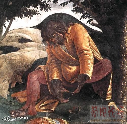 1663243.jpg