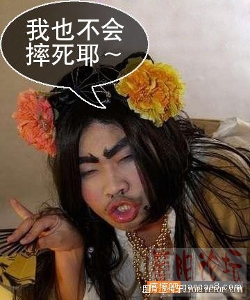 17.jpg
