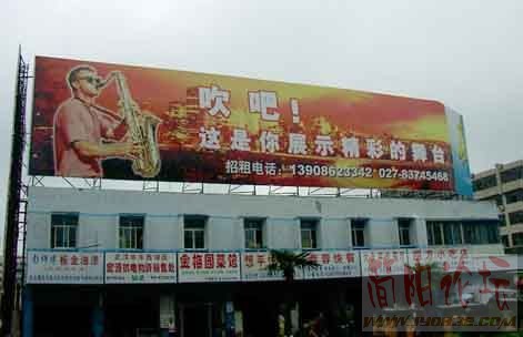 1845345.jpg