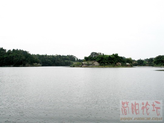 照片 011.jpg