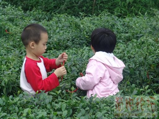 照片 336.jpg