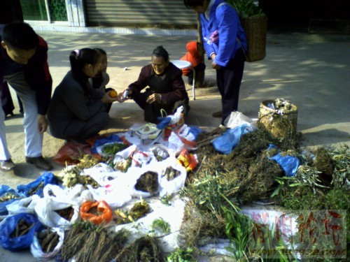 中草药.jpg
