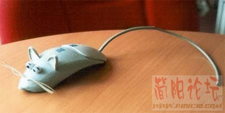 200403161440412-a.jpg