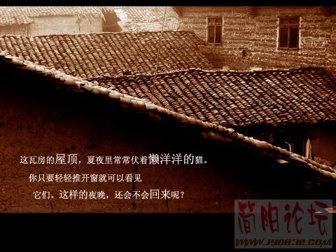 20041213174431.jpg