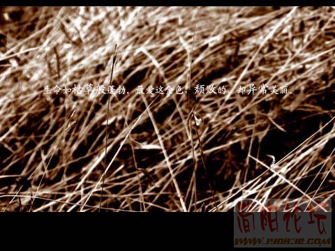 20041213174628.jpg