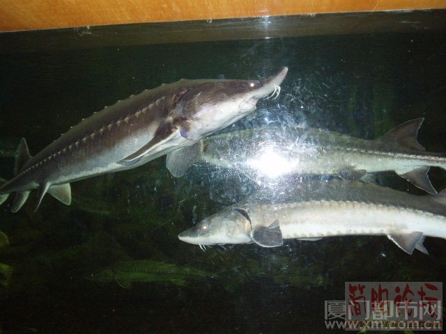 20051125145519.jpg