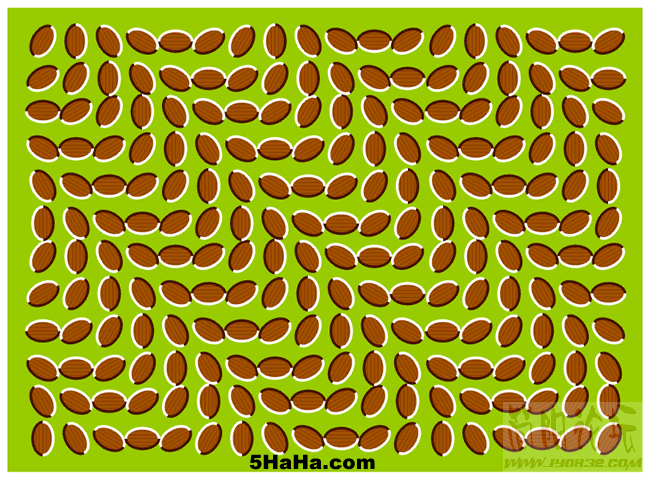 20060412011239109.gif