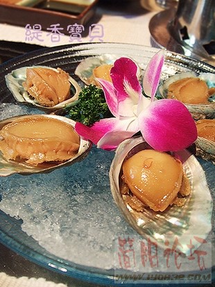 20060521204619725_1.jpg