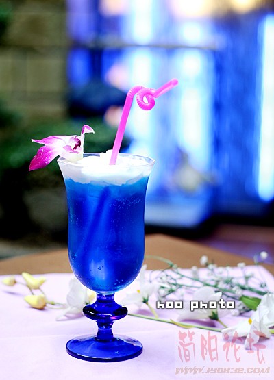 20060825120817170_2.jpg