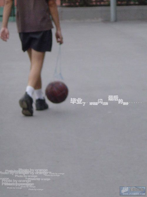 2006641094639460.jpg