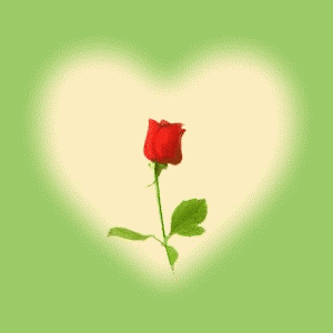 0130662.gif