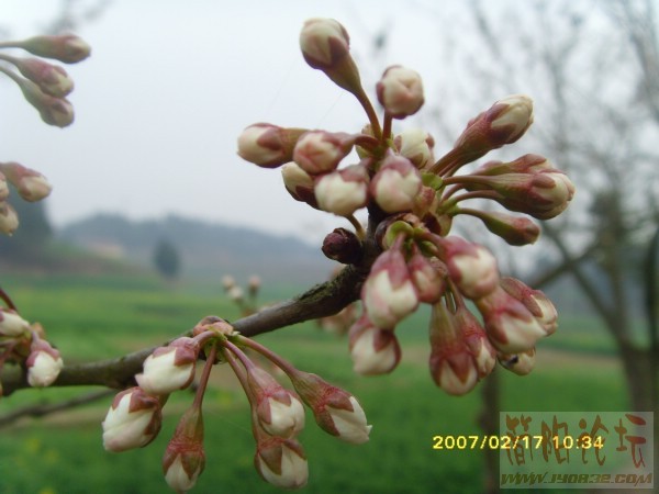 SNV32797.JPG