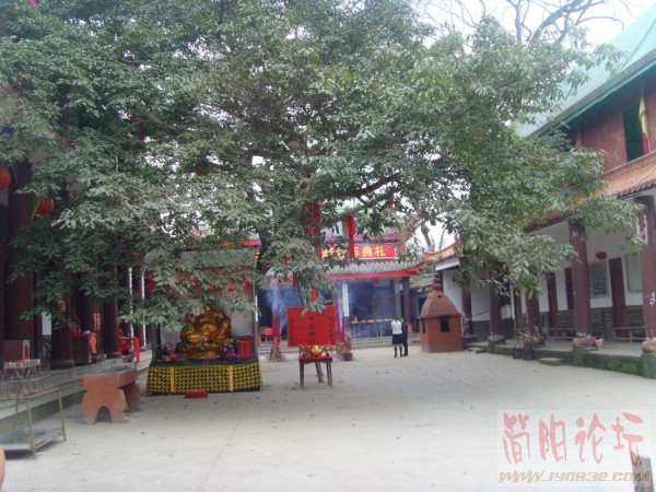 SNV32925_副本.JPG