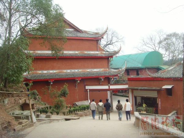 SNV32931_副本.JPG