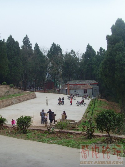 SNV32934_副本.JPG
