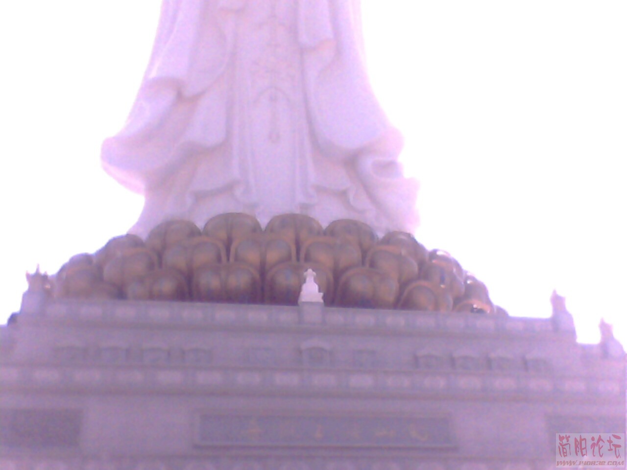 观音脚.jpg