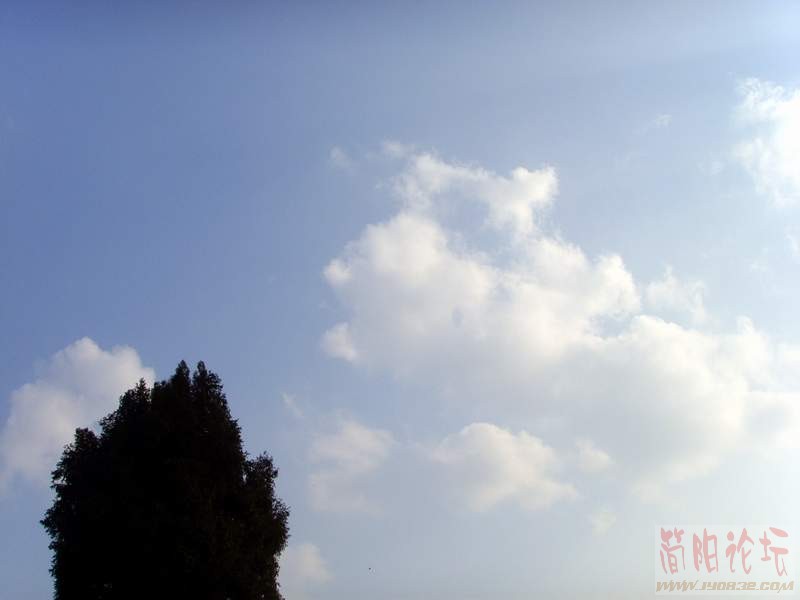 SSL28858.JPG