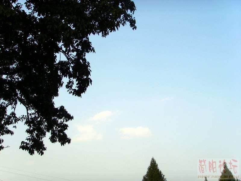 SSL28856.JPG