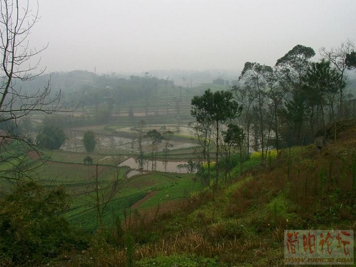 IMAG0045.JPG