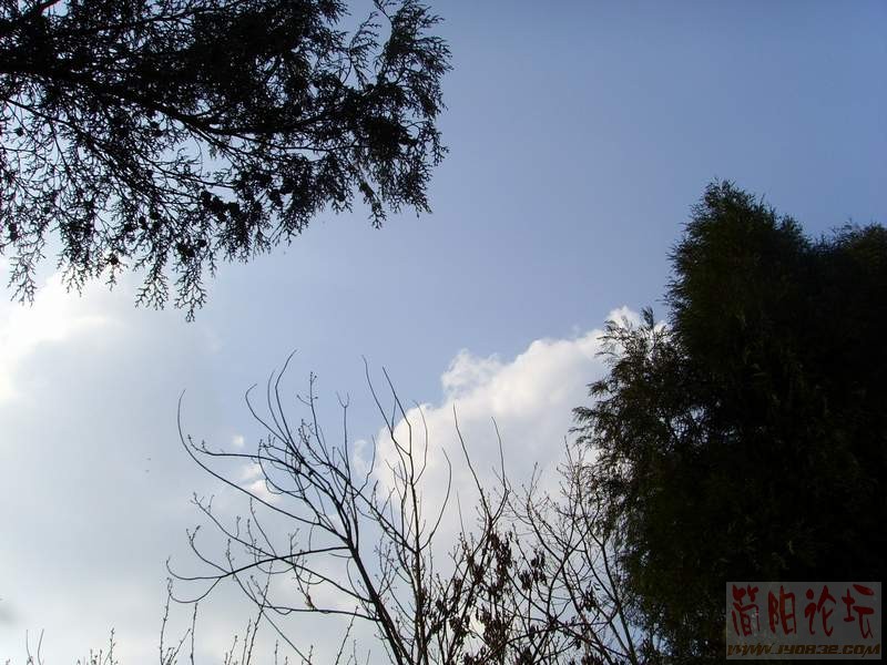 SSL28850.JPG