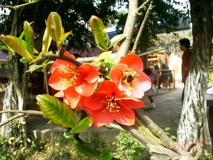 IMAG0158.JPG