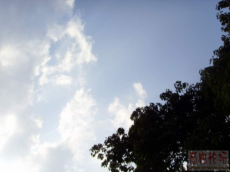 SSL28855.JPG