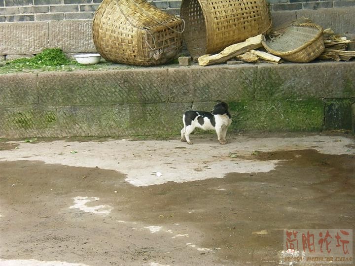 IMAG0147.JPG