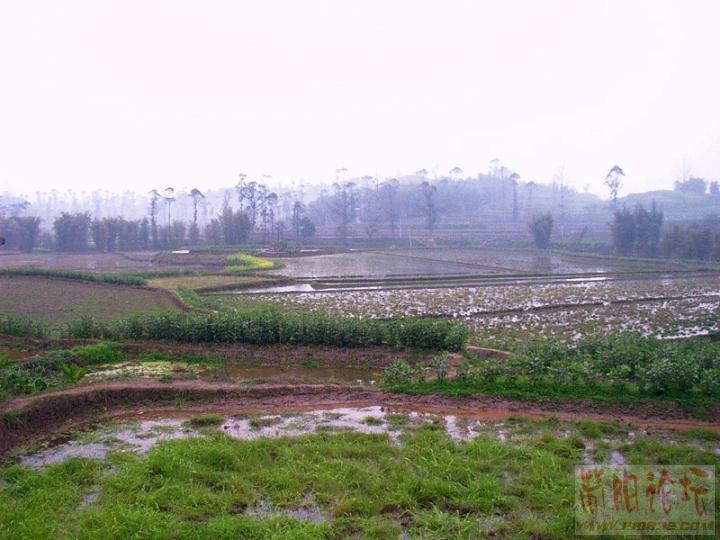 IMAG0011.JPG