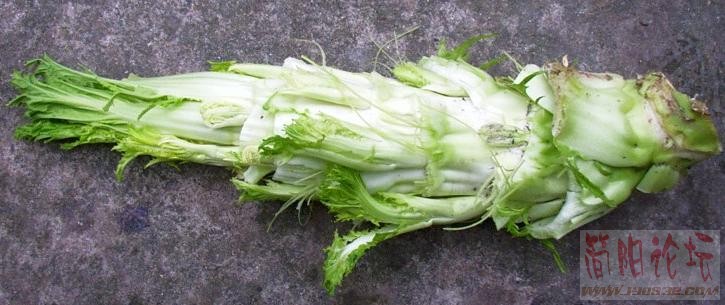 哪个能说出这菜的名字？.JPG