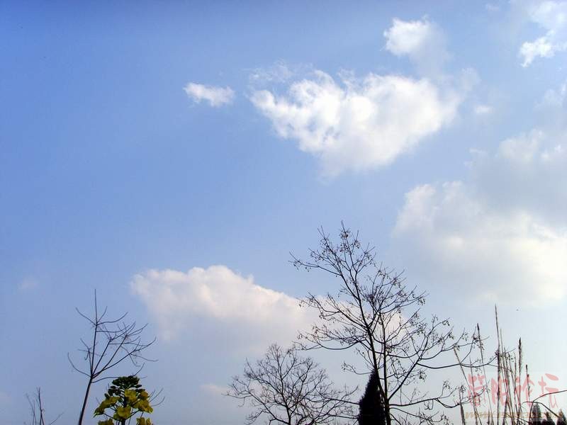 SSL28849.JPG