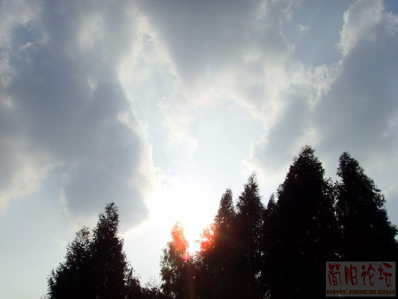 SSL28852.JPG