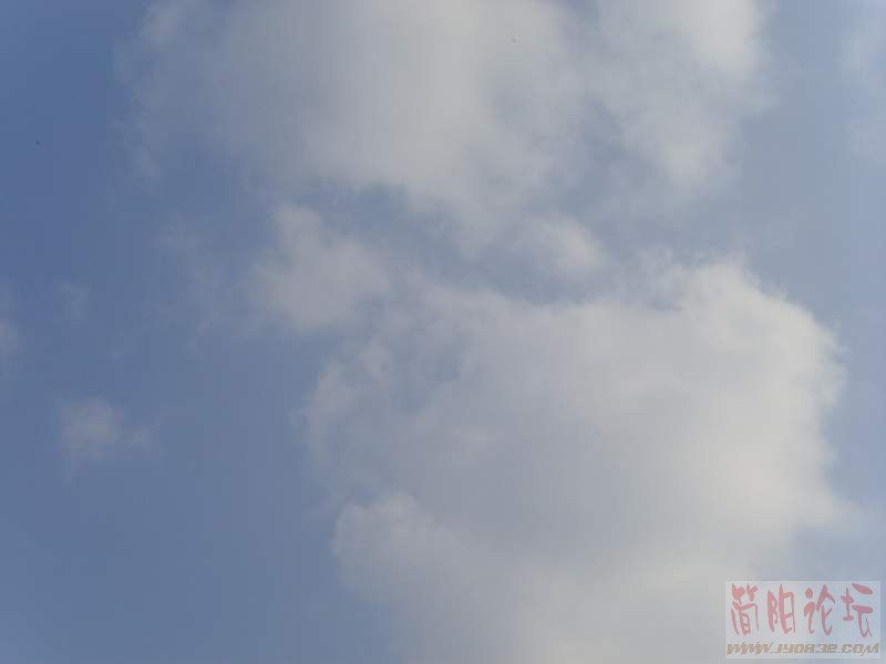 SSL28843.JPG