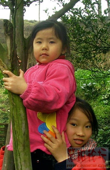 IMAG0070.JPG
