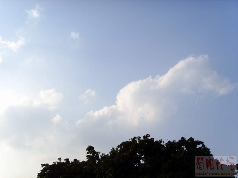 SSL28857.JPG