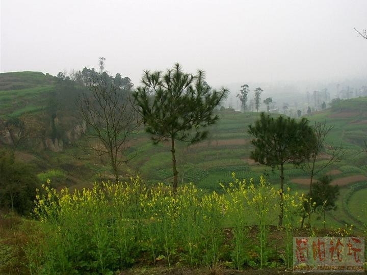 IMAG0041.JPG
